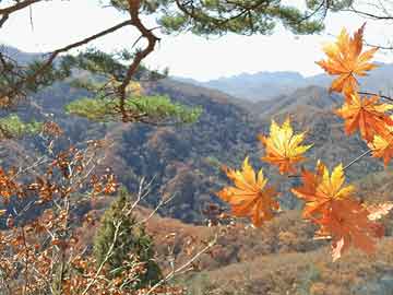 地方关注 第76页