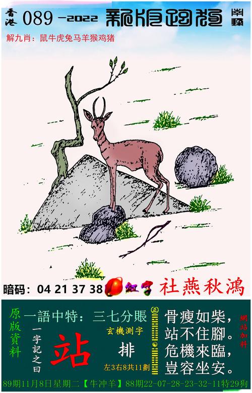 澳彩龙门客栈:存款利率0字头时代
