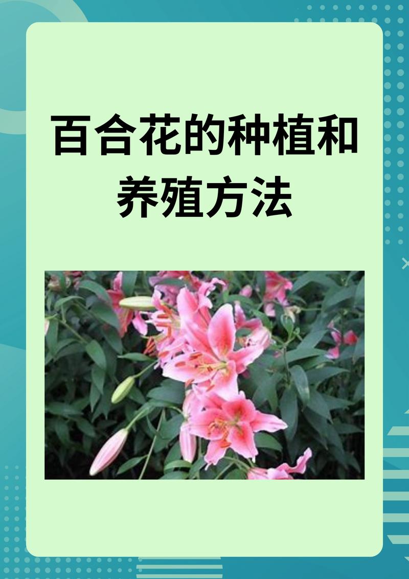 2025新奥资料正版大全和央视曝光云养殖骗局与央视曝光云养殖骗局是真的吗