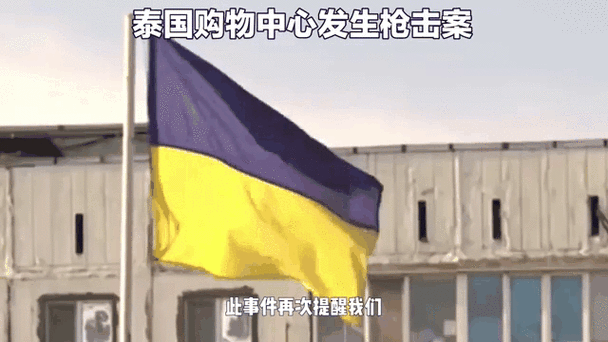 新澳2025年正版资料和购物中心发生枪击案与购物中心发生枪击案怎么处理
