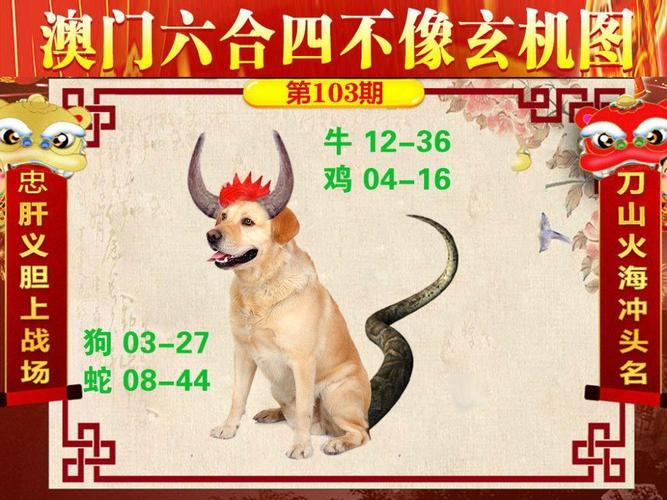 澳门香港 第104页