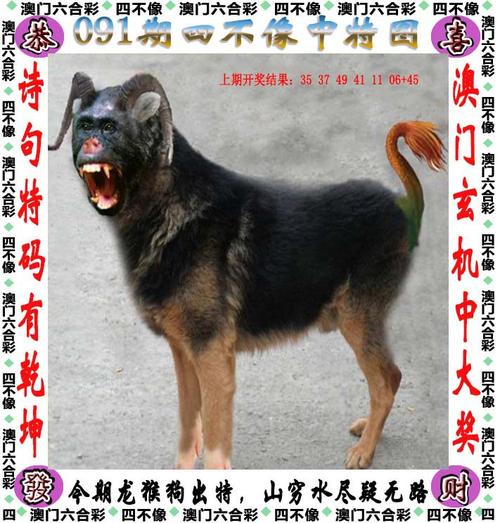 澳门香港 第125页