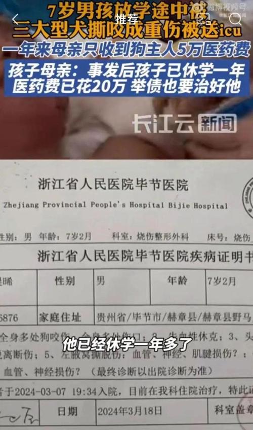 7777788888新版跑狗资料和7岁男孩遭3只犬撕咬与7岁男孩遭3只犬撕咬怎么办