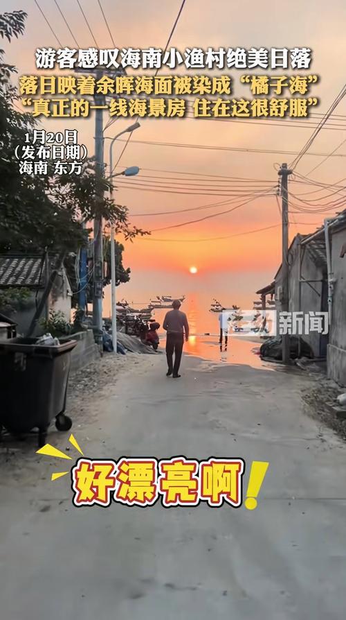 新澳门2025天天开好彩和游客三亚被蛇咬身亡与三亚被蛇咬了
