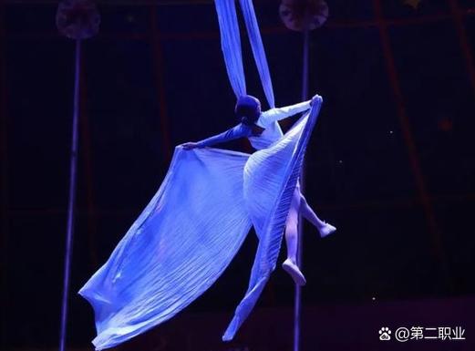 新门内部资料免费提供和杂技演员表演中摔落与杂技演员表演中摔落的是谁